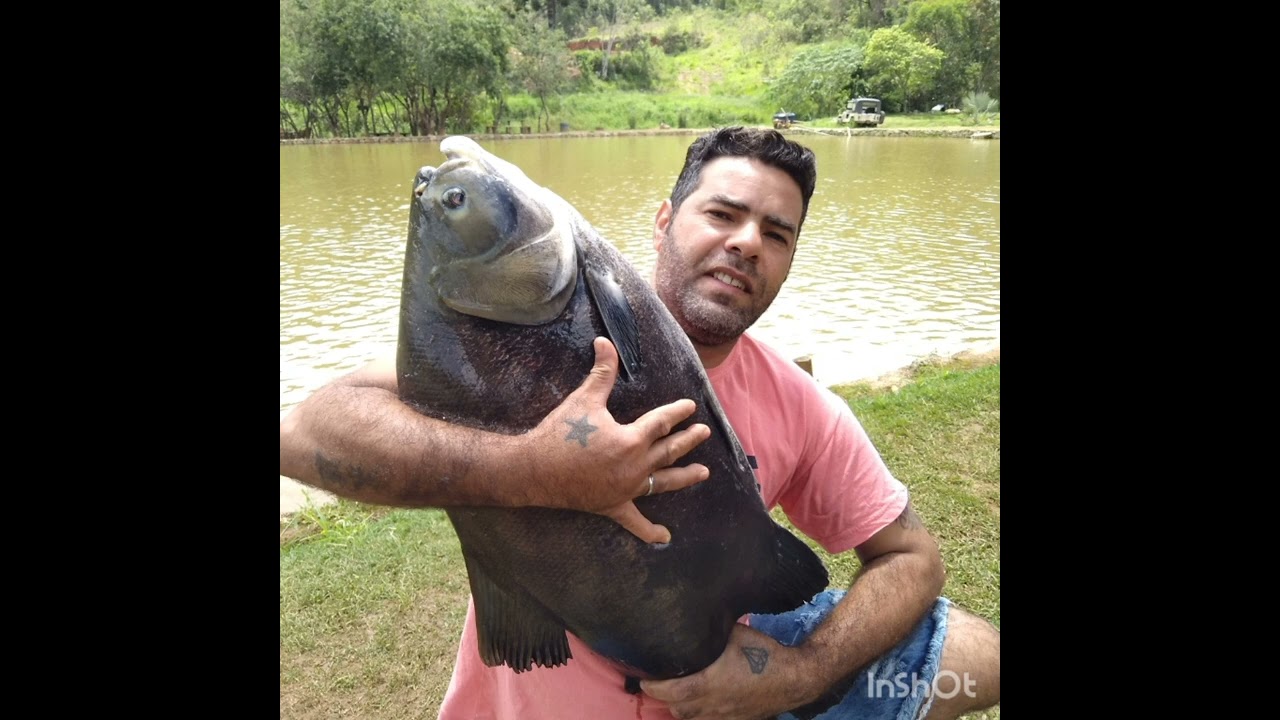 pescaria de tambas