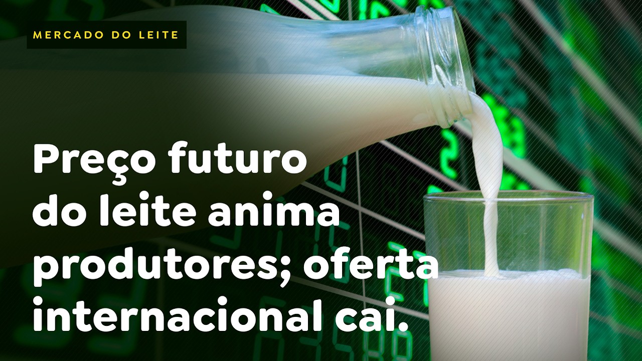 Preço futuro do leite anima produtores; oferta internacional cai.