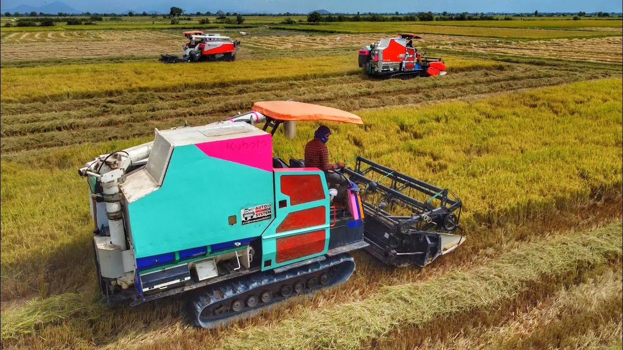 Incredible Harvester Machine Skills! Team Harvesting Rice in Cambodia