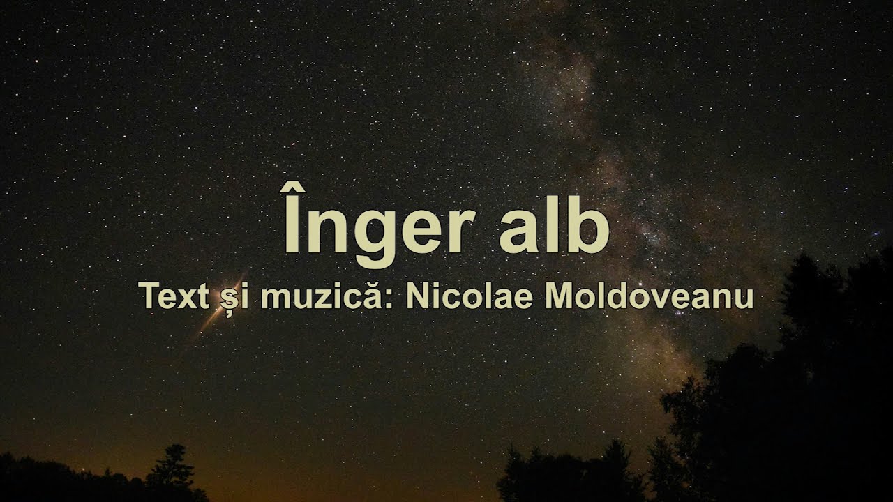 Inger alb - Nicolae Moldoveanu