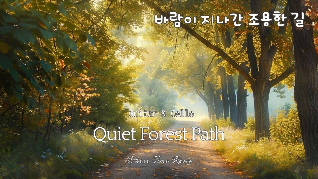 🌿 바람이 지나간 조용한 길 | Forest Music 🎸🎻Guitar & Cello Healing Music #17