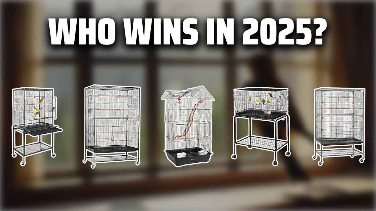 The Top 5 Best Flight Bird Cage in 2025 - Must Watch Before Buying!