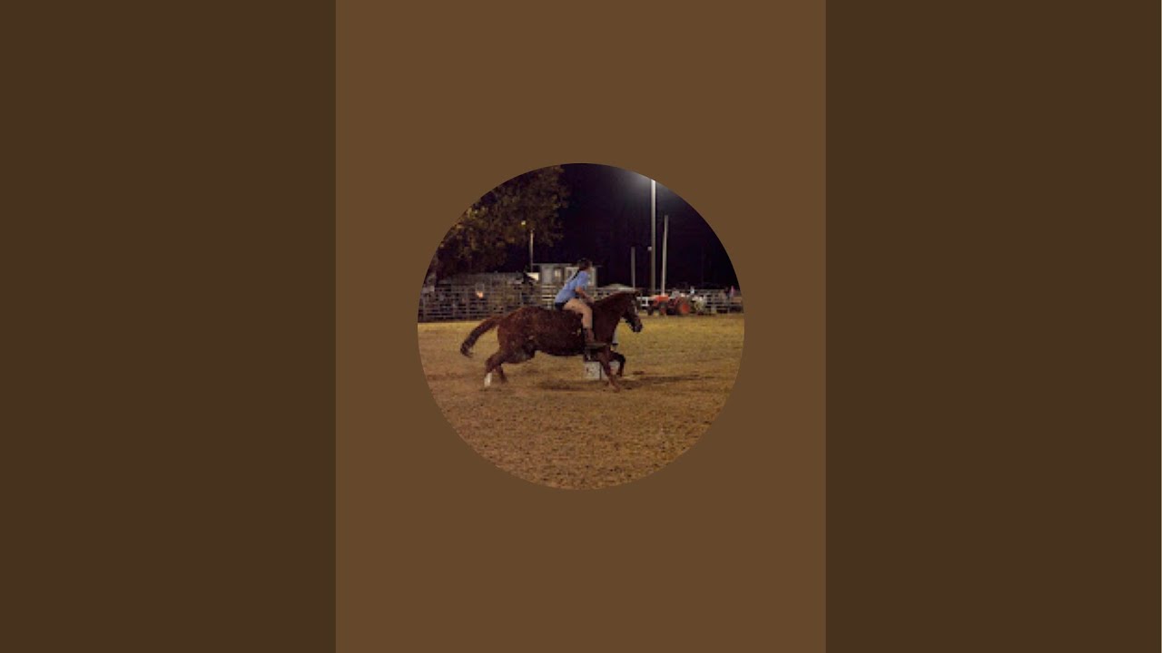 First live in a while. Tack up with me for a workout trail ride