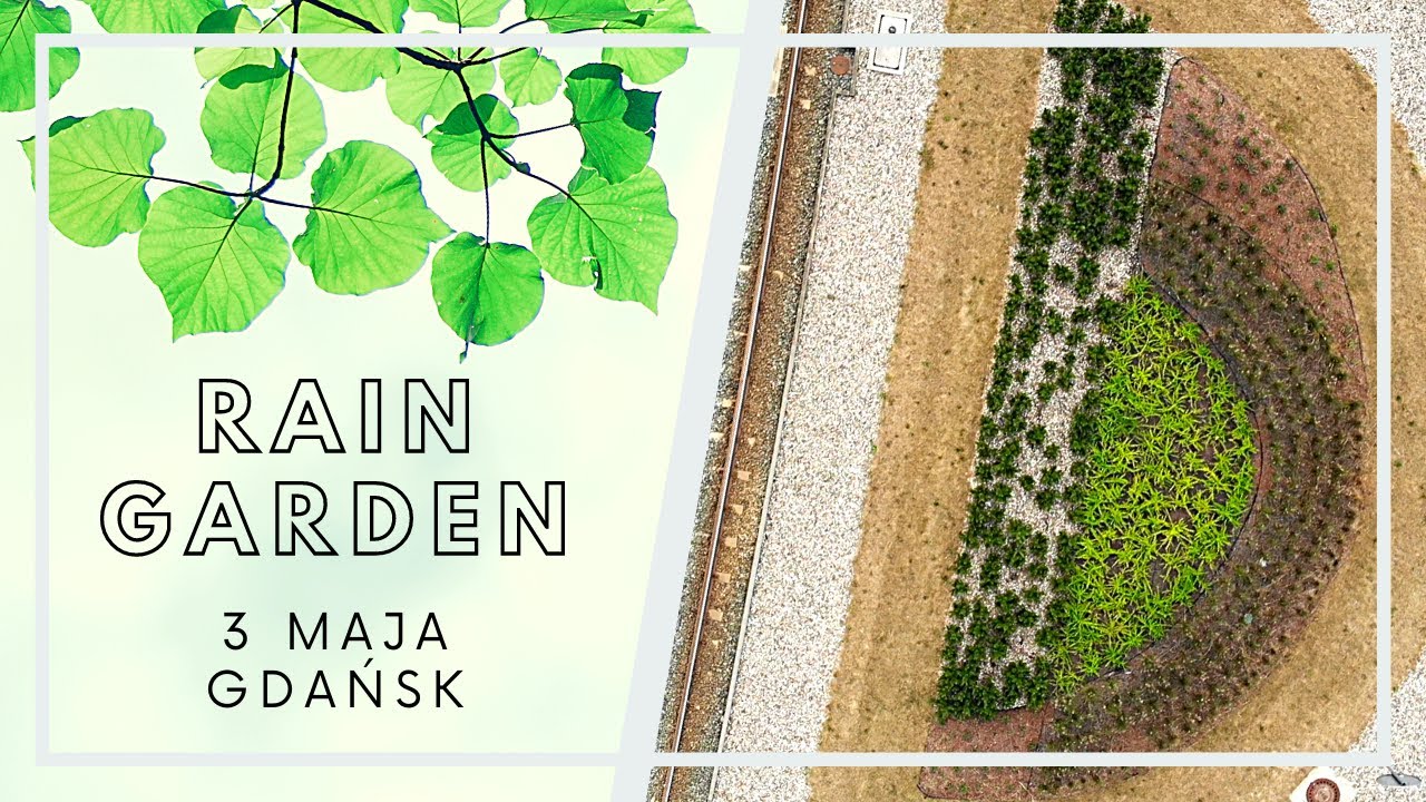 RAIN GARDEN - 3 MAJA GDAŃSK