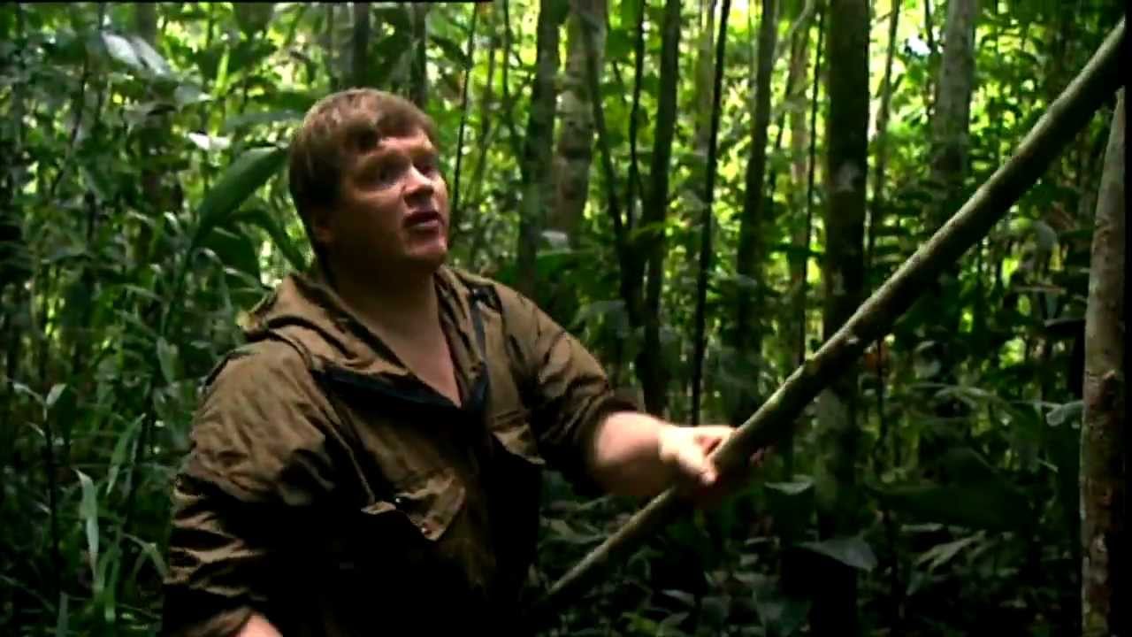 Ray Mears Buscraft - Jungle Machete Tips - Spos&oacute;b użycia maczety
