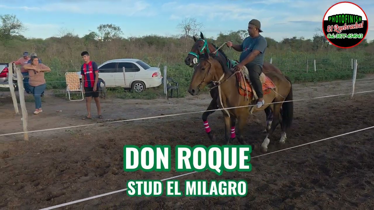Gerardito vs Sodero vs Don Roque vs El Sherif vs La Bestia