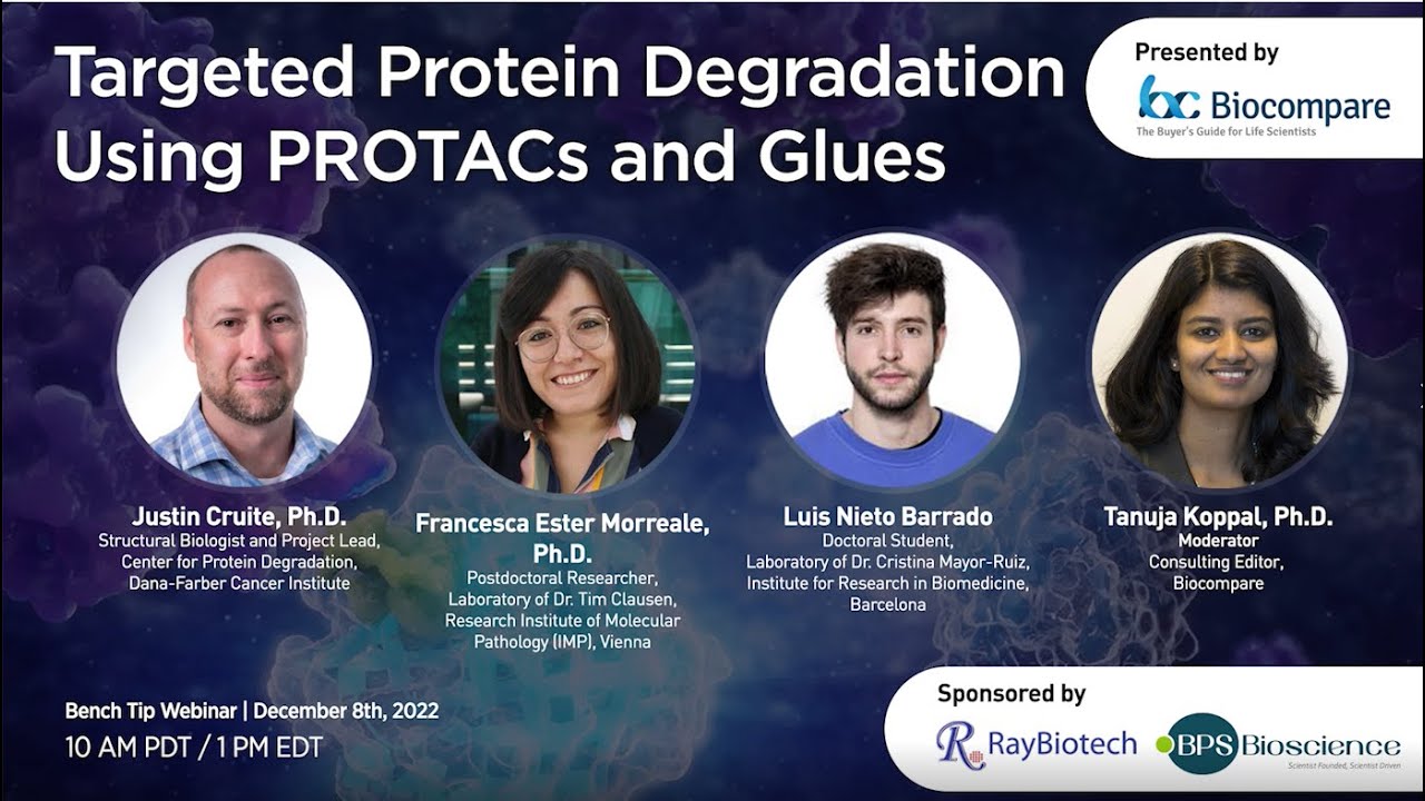 Targeted Protein Degradation Using PROTACs and Glues