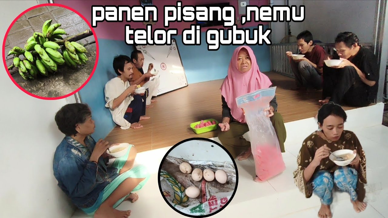 Nemu telor di gubuk #egoadriano #petualangan #berkebun #sosial #pedulikemanusiaan #lucu 