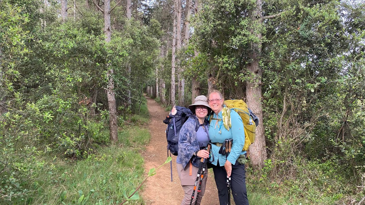 Camino Day 9: Villatuerta to Los Arcos