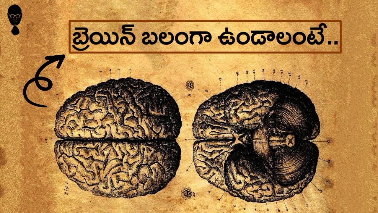 మీ walking కి, Brain Development కి చాలా లింక్ ఉంది!  HUMAN EVOLUTION || Think Telugu Podcast