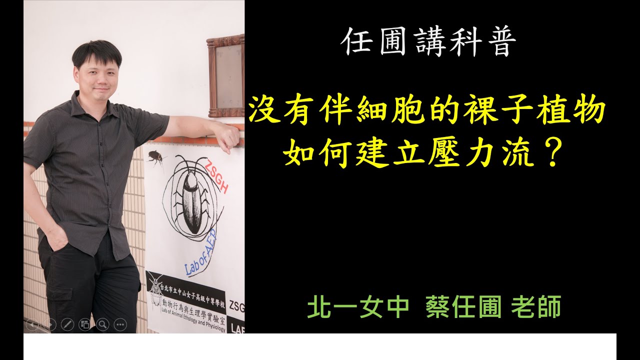 【任圃講科普】191沒有伴細胞的裸子植物如何建立壓力流？
