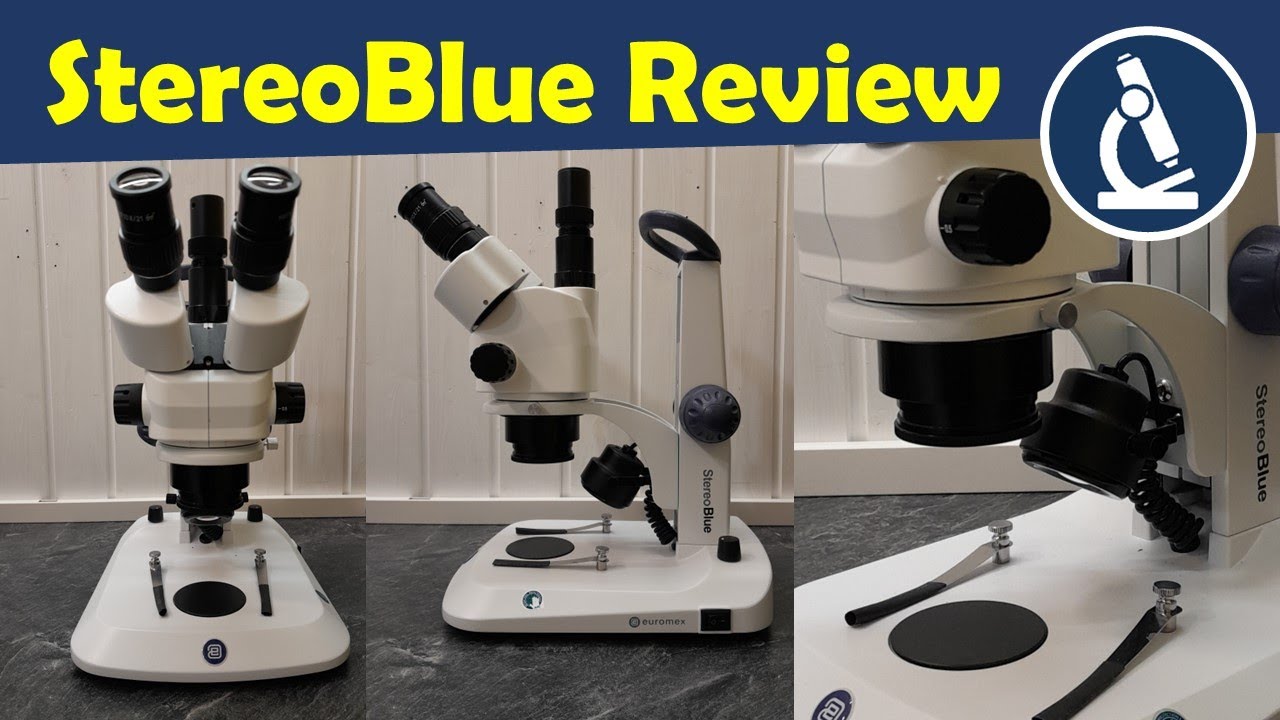 Review of the Euromex StereoBlue Stereo Microscope