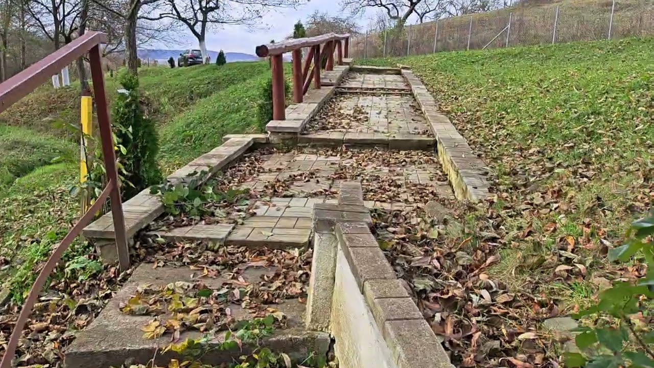 Kispad az erdő közepén. 