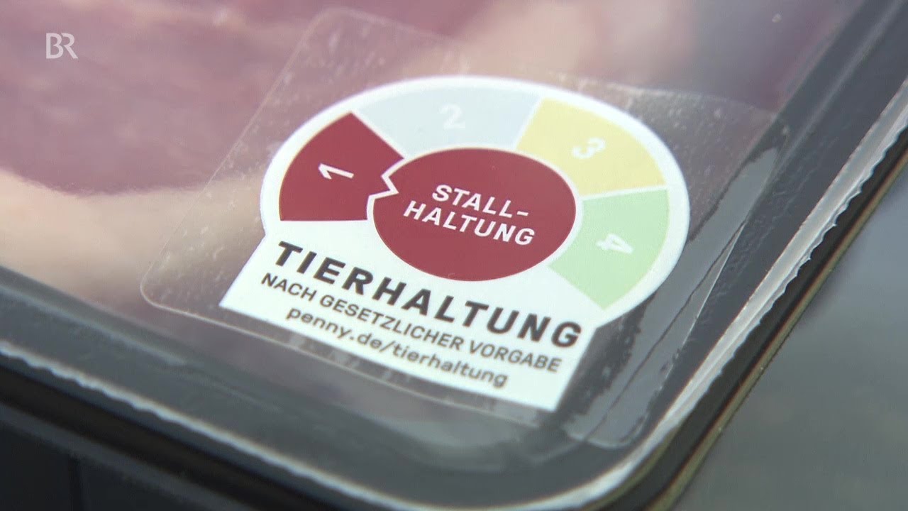 Was steckt hinter 