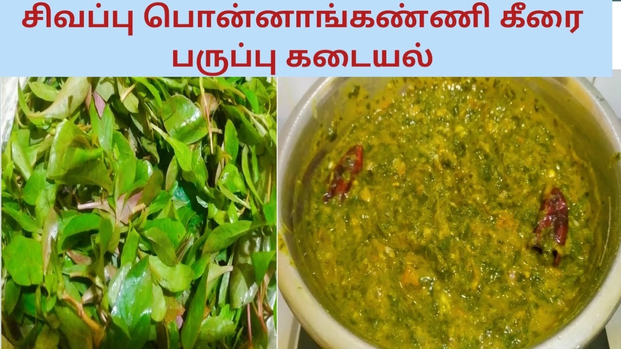 சிவப்பு பொன்னாங்கண்ணி கீரை பருப்பு கடையல் | Sigappu Ponnankanni Keerai Paruppu Kadayal RecipeinTamil