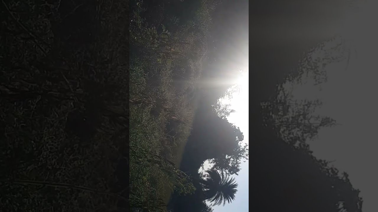 #meditation and relaxation with nature is live