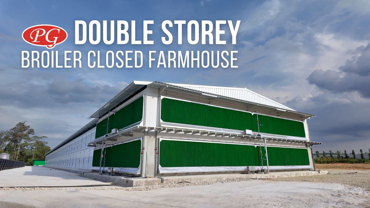 Double Storey Broiler Closed House