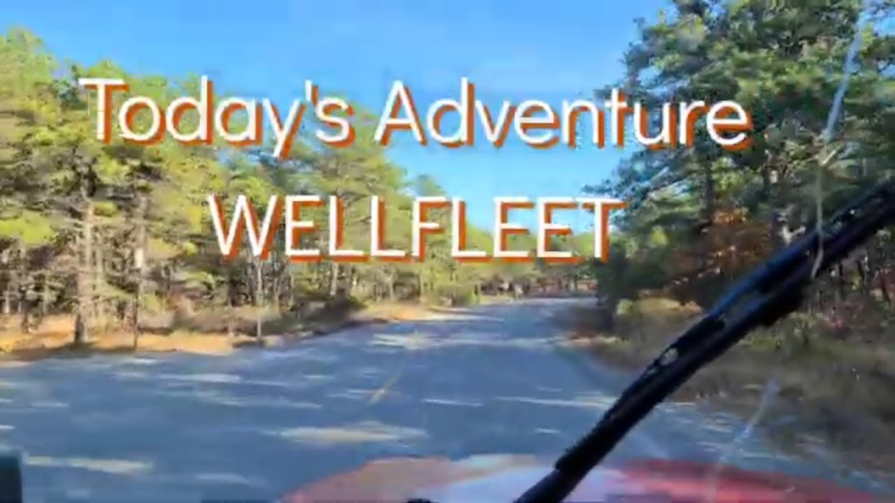 Today's Jeep Adventure Wellfleet on Cape Cod