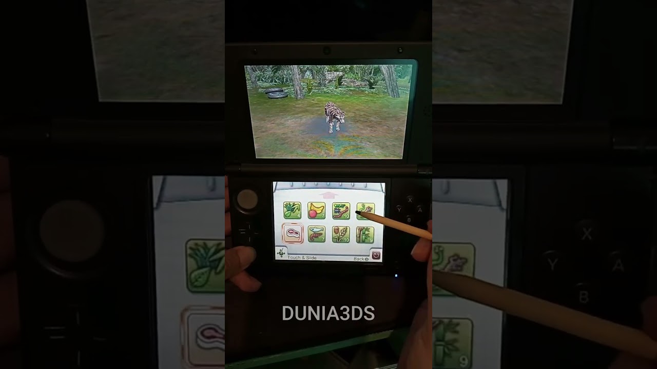 Zoo Resort 3D 3DS Gameplay - NINTENDO 3DS