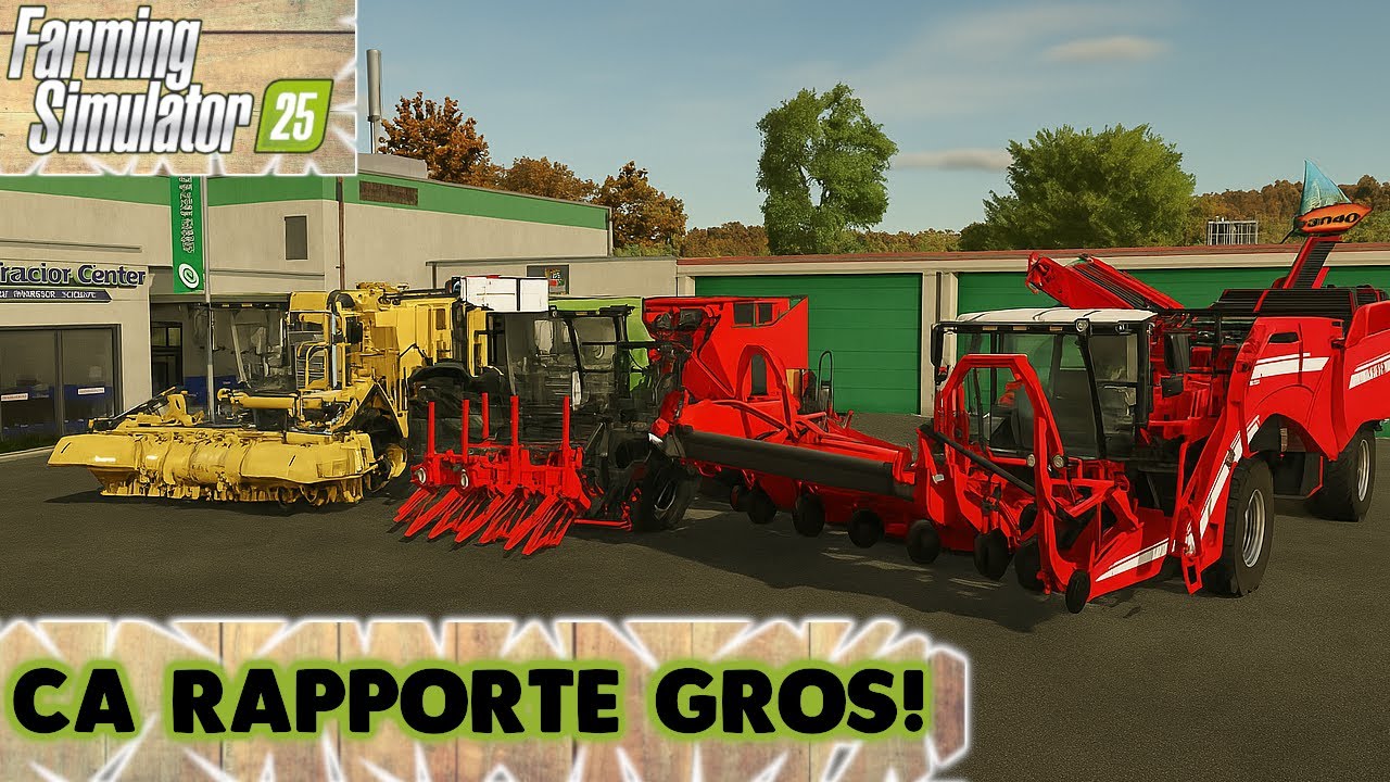 FS25 : Top 5 C&eacute;r&eacute;ales QUI RAPPORTENT GROS (Rentabilit&eacute; MAX) beaucoup d'argent !