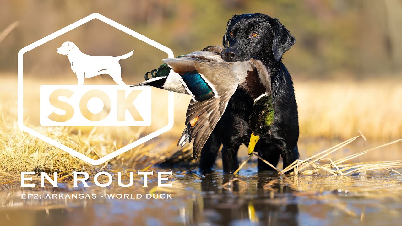 SOK EN ROUTE - EP 2 Arkansas x World Duck