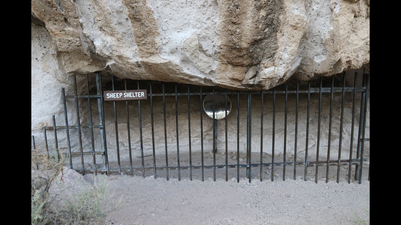 Sheep Shelter