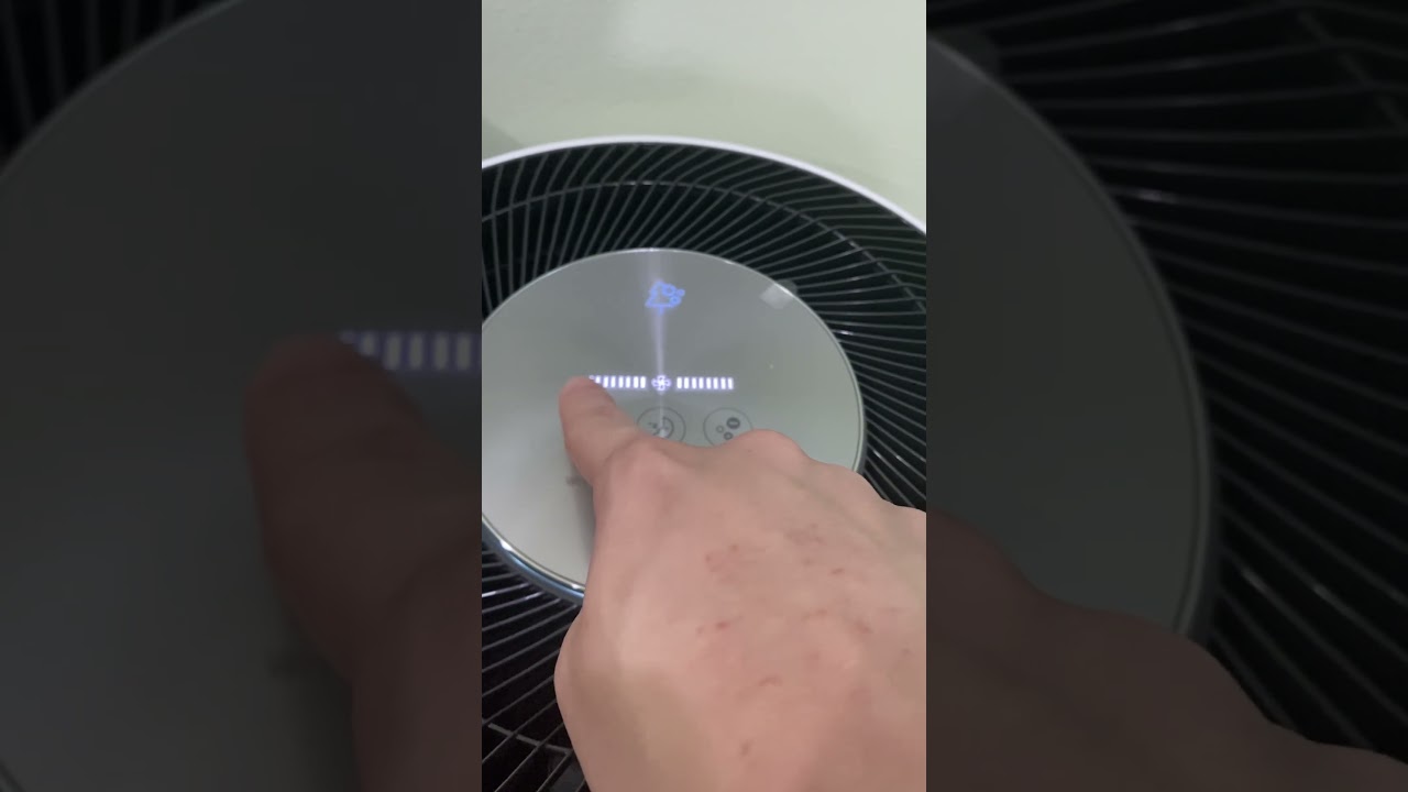 LG PuriCare Air Purifier | Overview