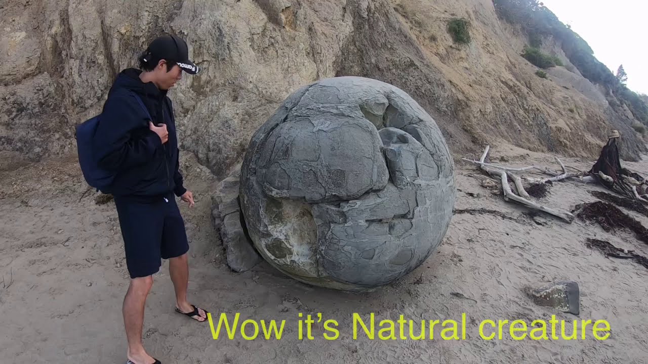 New Zealand Road trip 12 (Team NZ) 뉴질랜드 로드트립