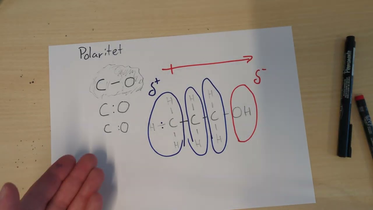 Polaritet