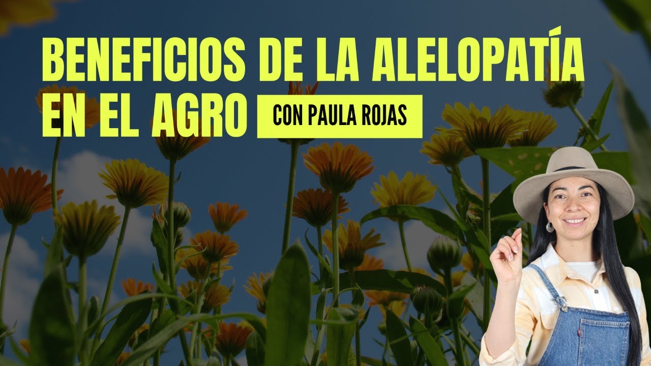Beneficios de la Alelopatía en el Agro