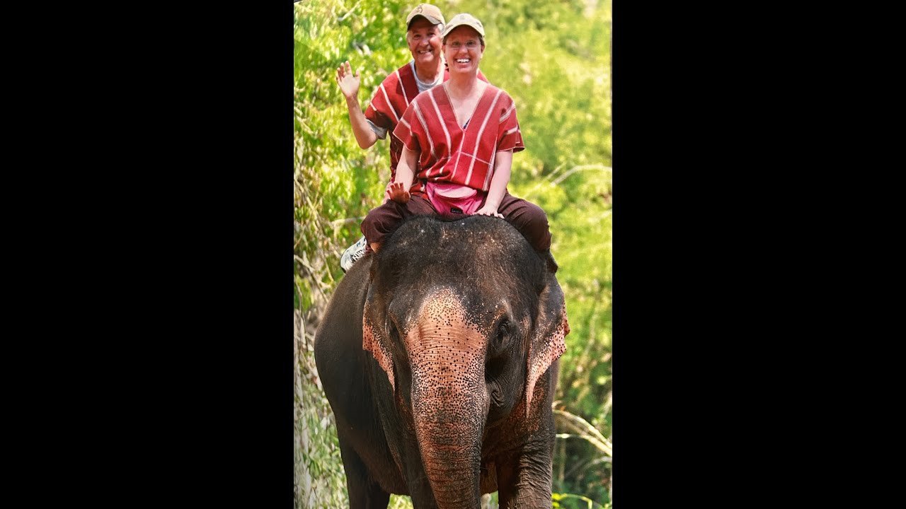 Elephant movies Thailand, 2013