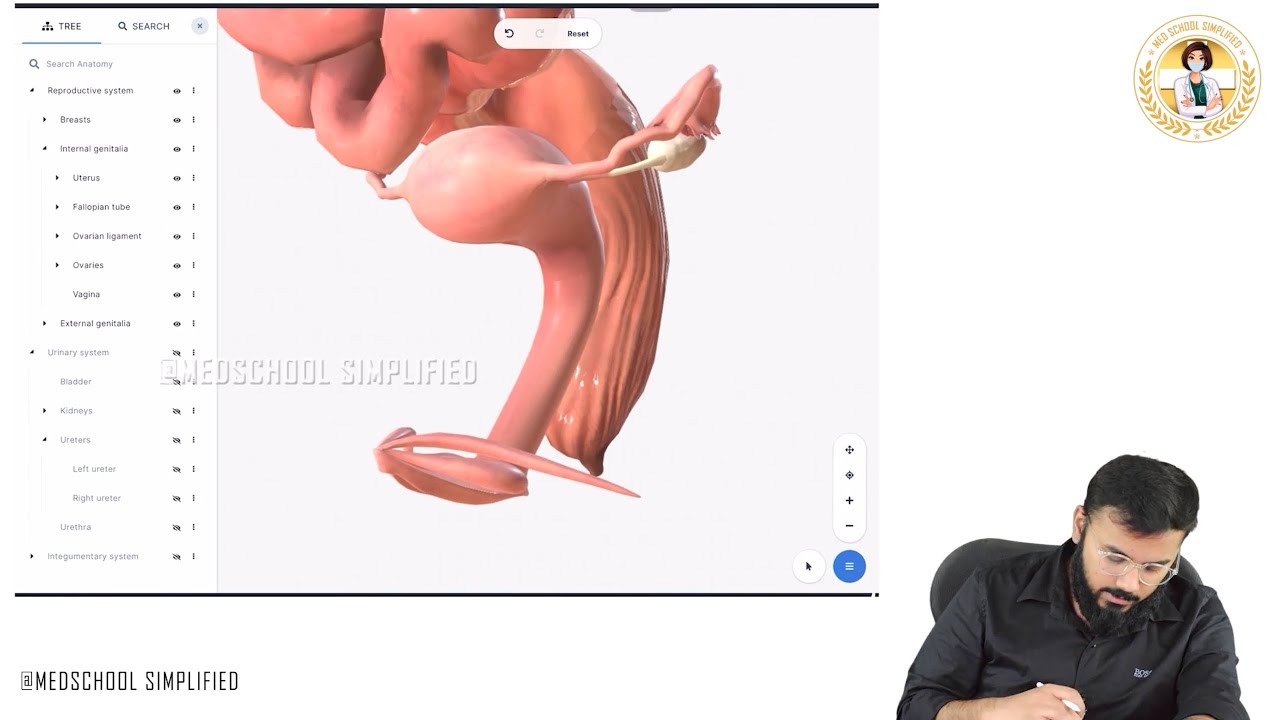 76. Anatomy of Cervix | Must-Know for NEET PG/FMGE/USMLE