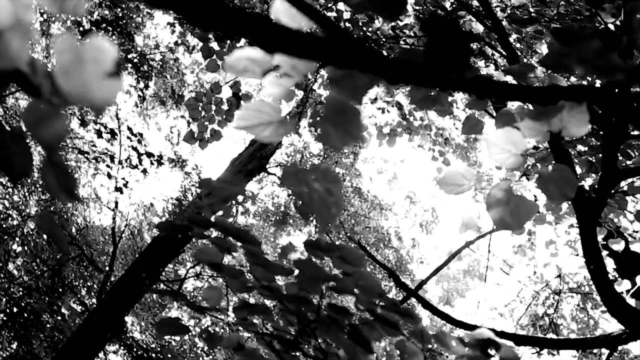 Kriistal Ann - Fading Lights