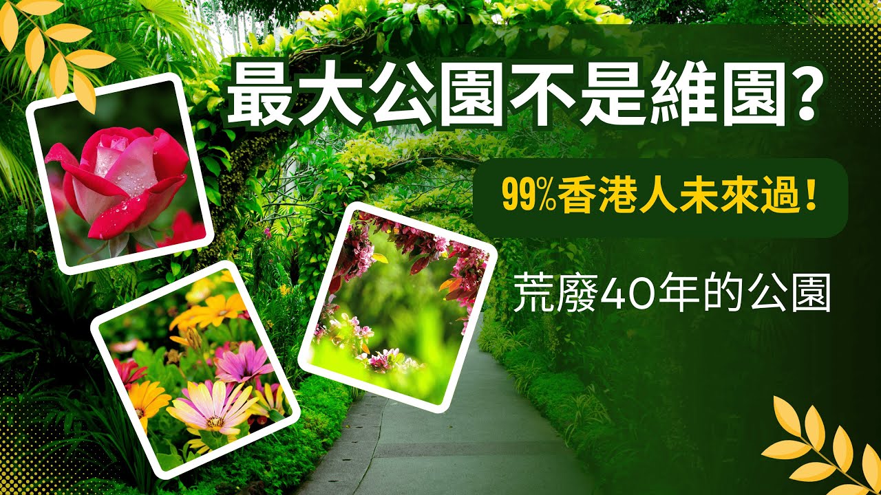 99%香港人未來過！最大公園不是維園？荒廢40年的葵涌公園｜醉酒灣堆填區｜懸浮半世紀的「空中樓梯」香港好去處 The largest park in Hong Kong