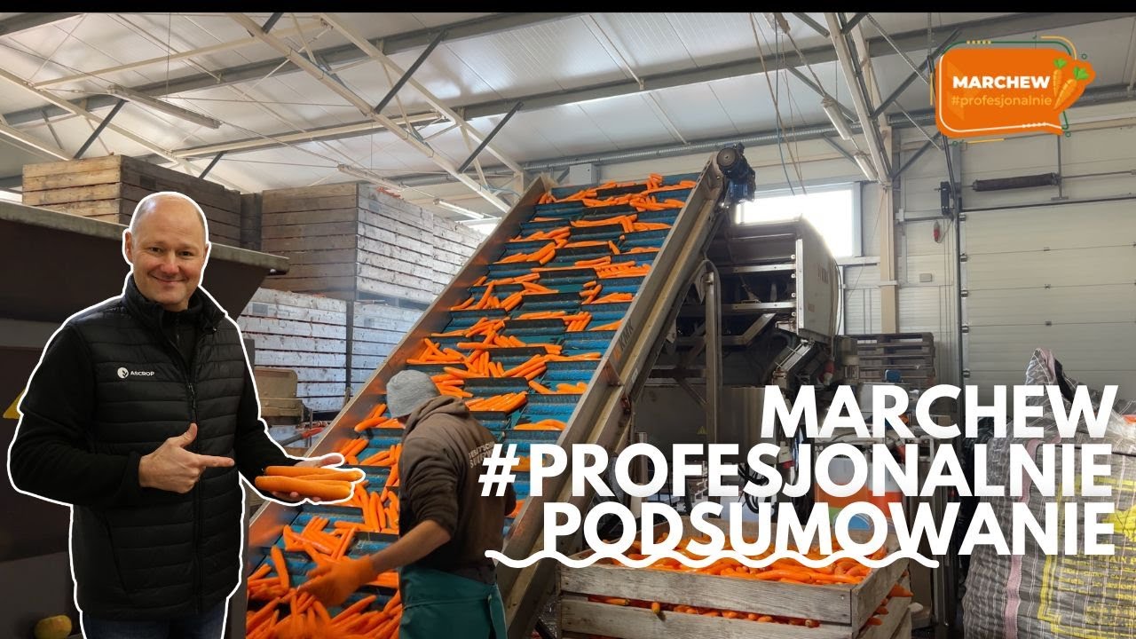 Podsumowujemy projekt 