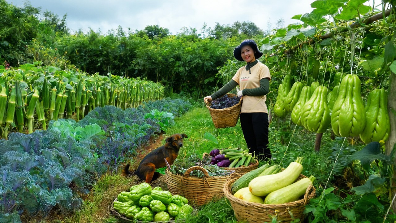 FULL Harvest: Chayote, Okra, Kale – Sell At The Market – Cook With Them, Garden With My Brother