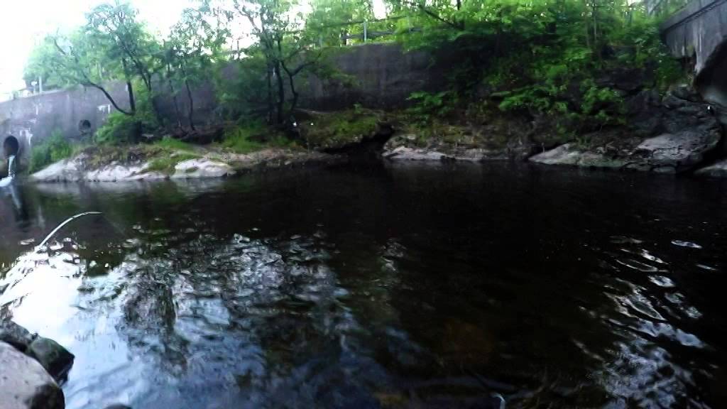 sandvikselva juni 2015