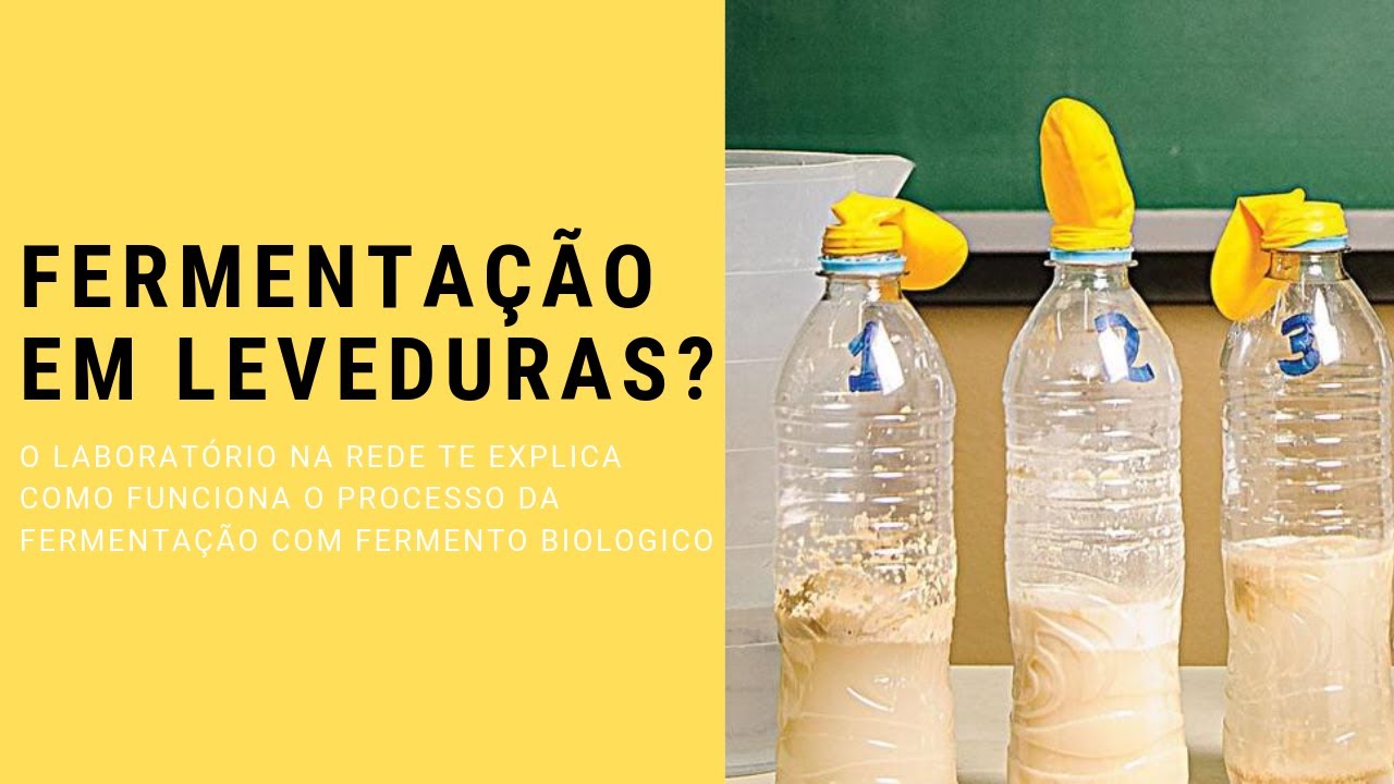 FERMENTA&Ccedil;&Atilde;O DAS LEVEDURAS