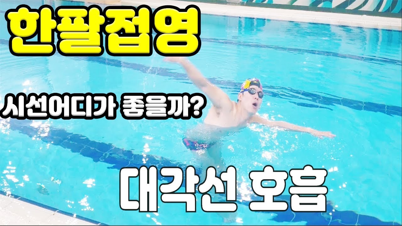 한팔접영 입문하시는 분들께 도움이 되셨으면 좋겠습니다. /How to buterfly stroke
