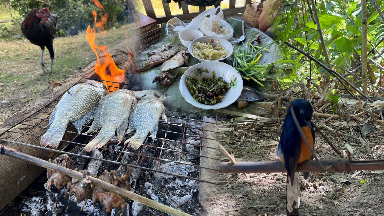 เข้าป่าทำอาหารกับดักนกโบราณชนเผ่า (บ่าวลาหู่) 