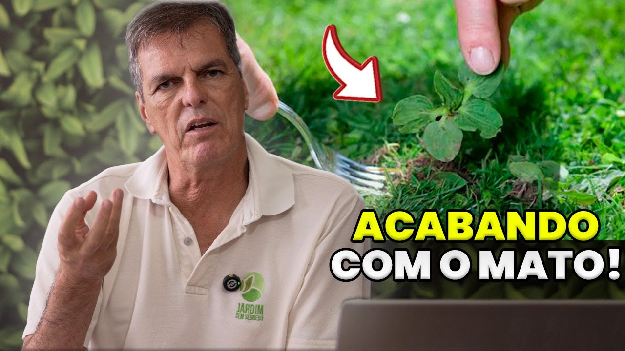 COMO ACABAR COM o MATO QUE ESTÁ CRESCENDO no MEIO do GRAMADO ?