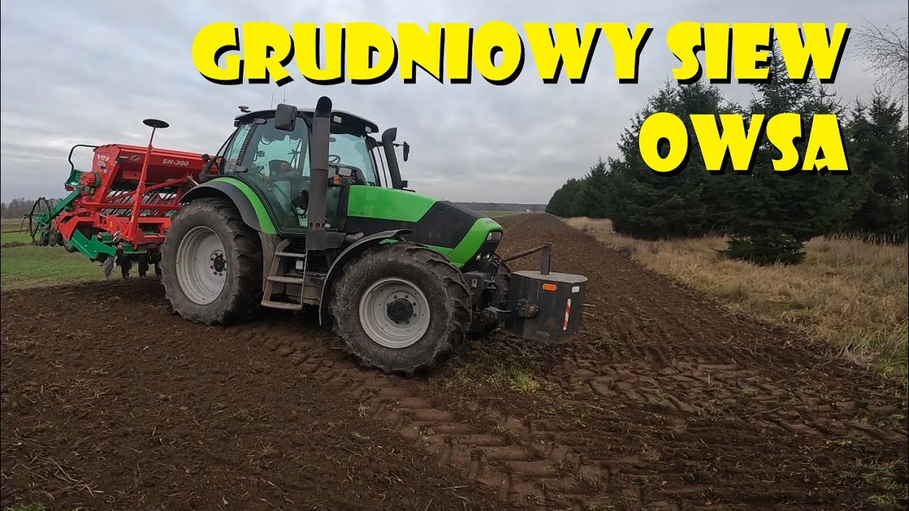 GRUDNIOWY SIEW OWSA JAREGO🌱Agro Kuzyni