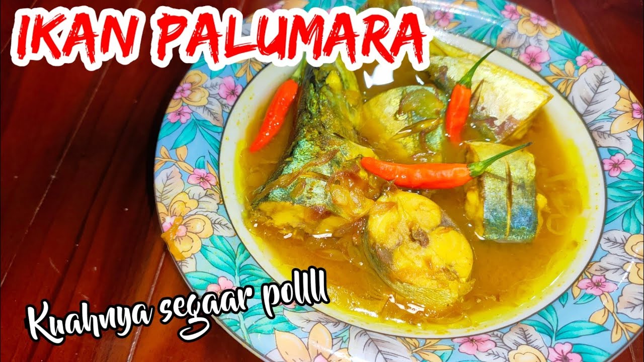 Ternyata begini cara masak Ikan Palumara, Tahan Lama || kaldunya segar, ikannya super empuk