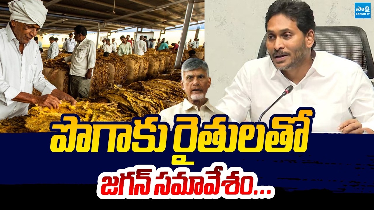 YS Jagan to Meet Tobacco Farmers | Tobacco Farmers in Crisis | Chandrababu @SakshiTVLIVE