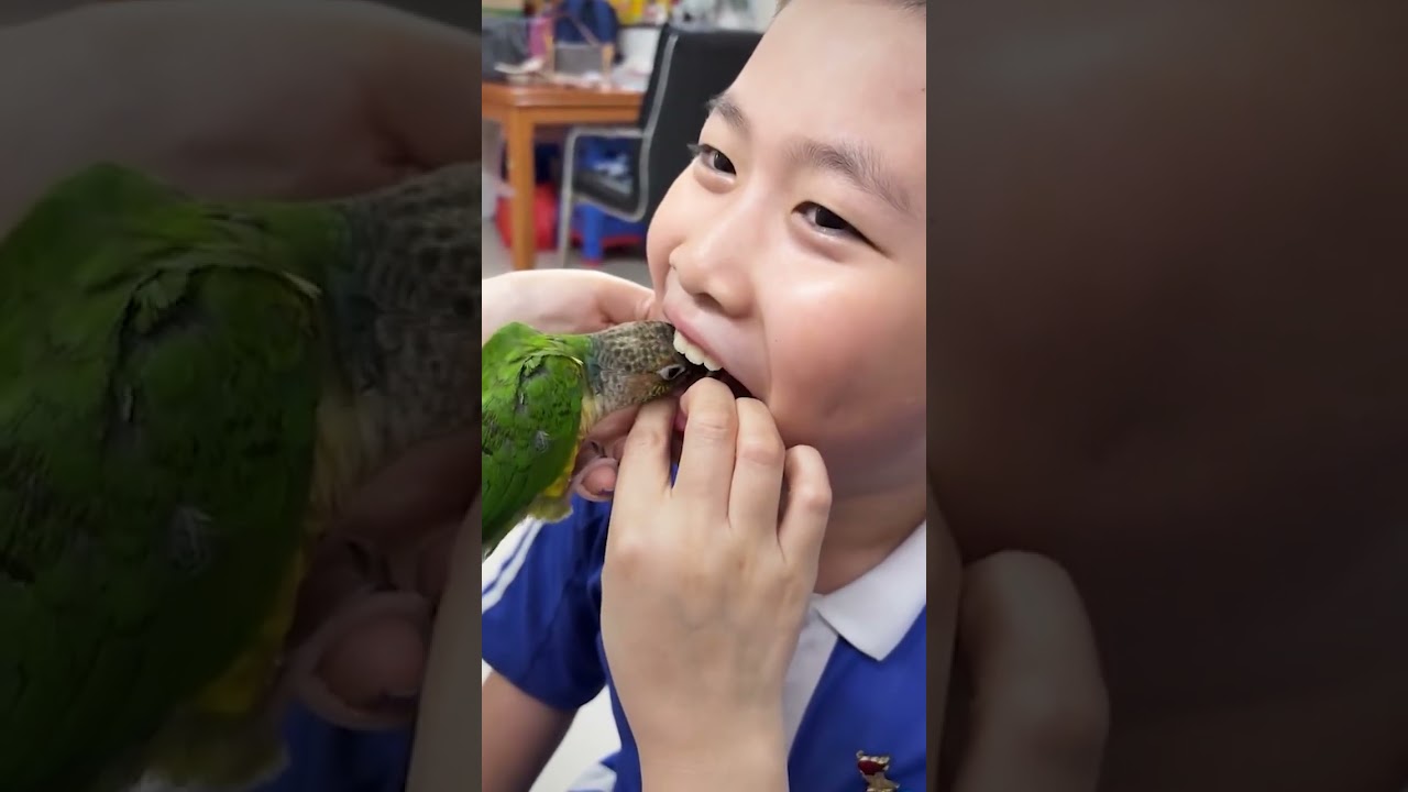 Clever Parrot Plays Dentist