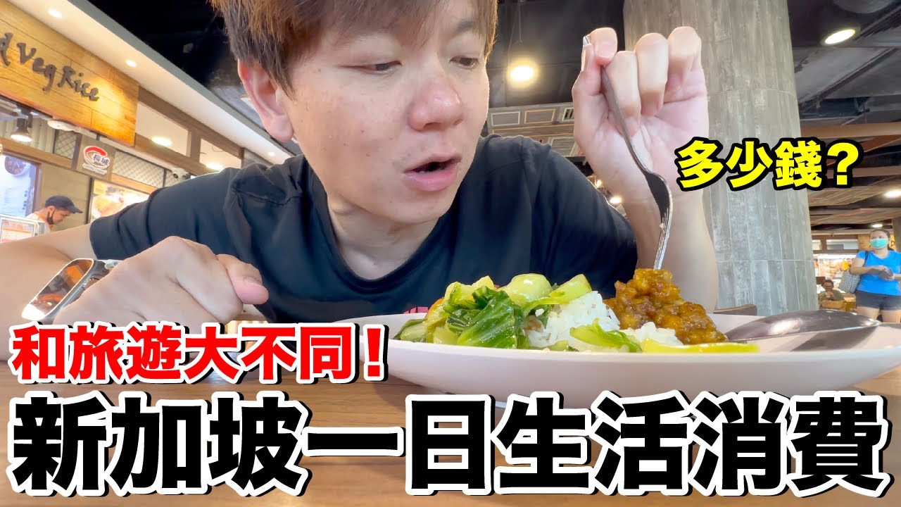 新加坡生活好貴？真實生活體驗....一整天花了多少錢？當地人一餐預算是？