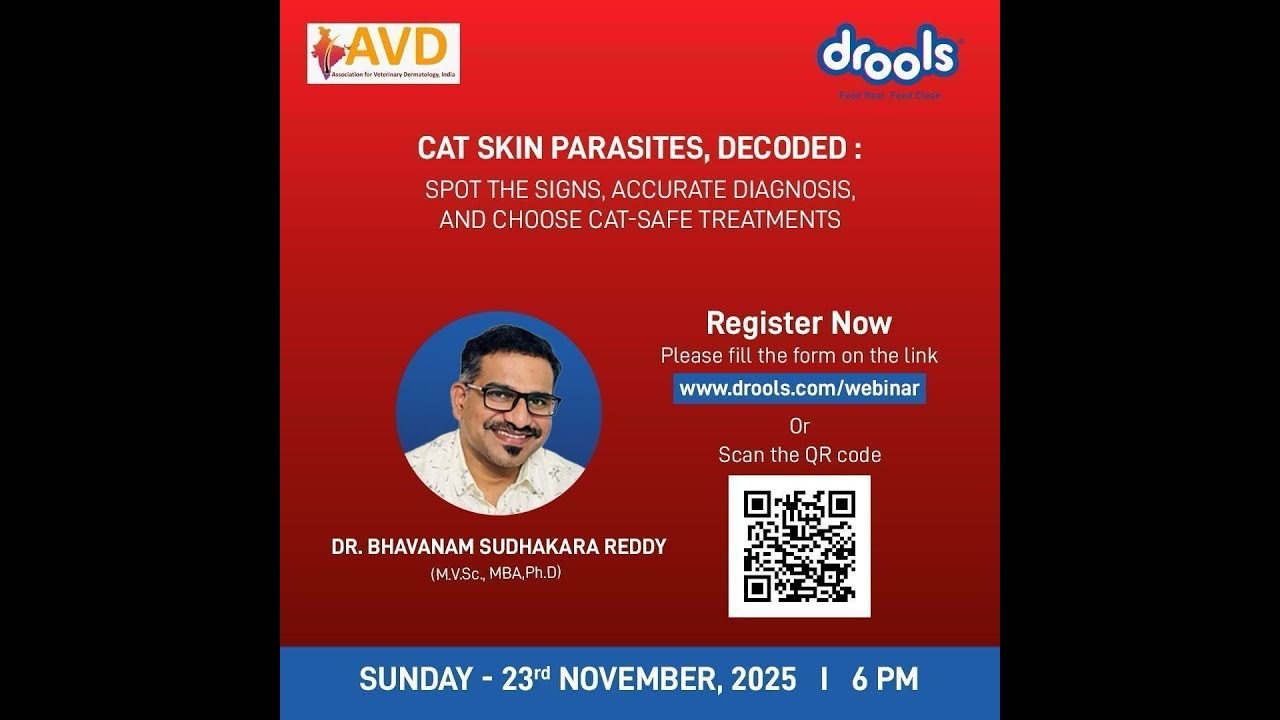 IAVD Drools Webinar 23-11-2025