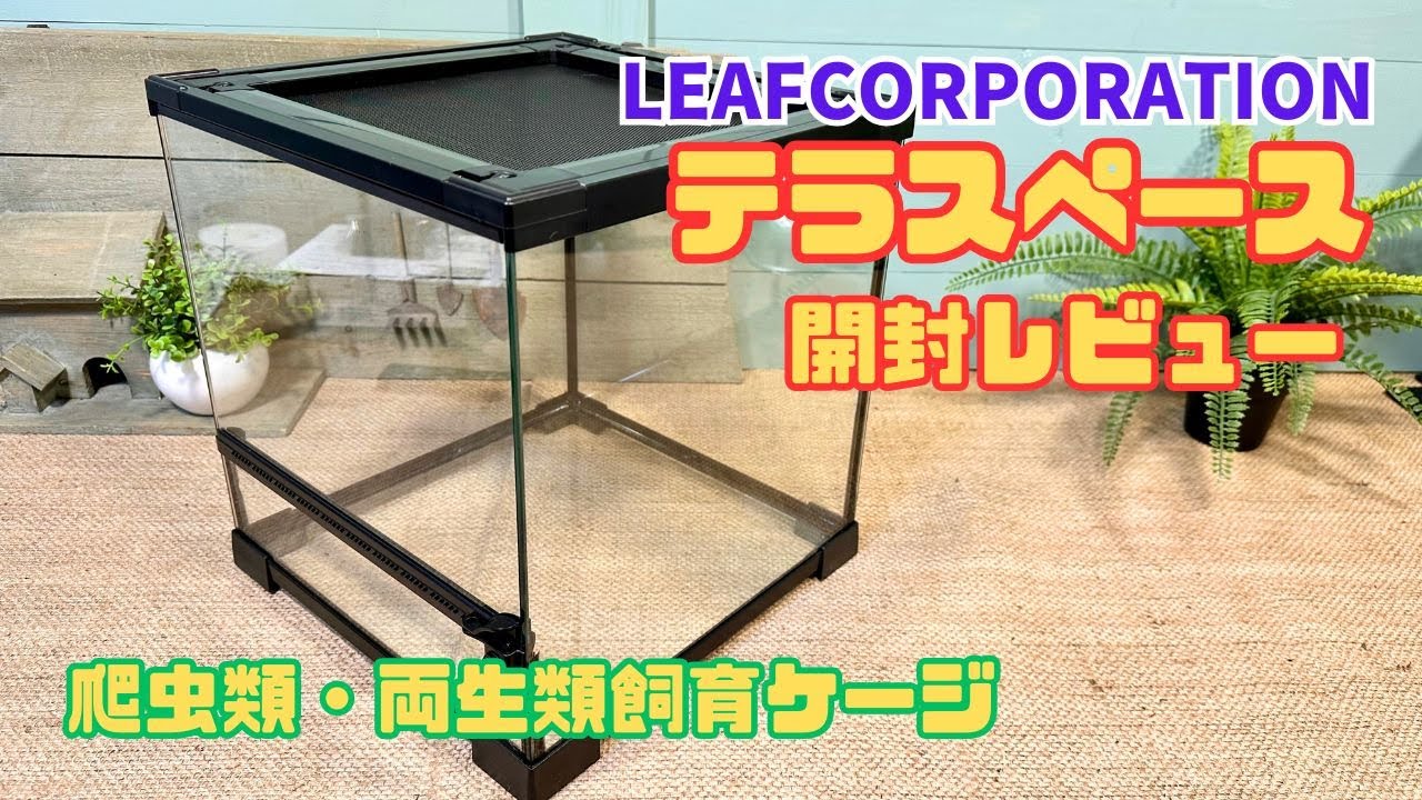 爬虫類＆両生類用ガラスケージ「テラスペース」開封！使い勝手やおすすめポイントを徹底評価＆レビュー
