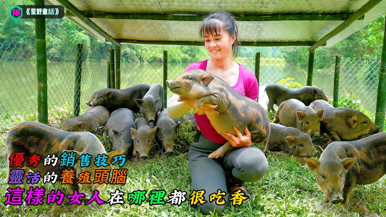 優秀的銷售技巧，靈活的養殖頭腦，這樣的女人在哪裡都很吃香《荒野童話》16
