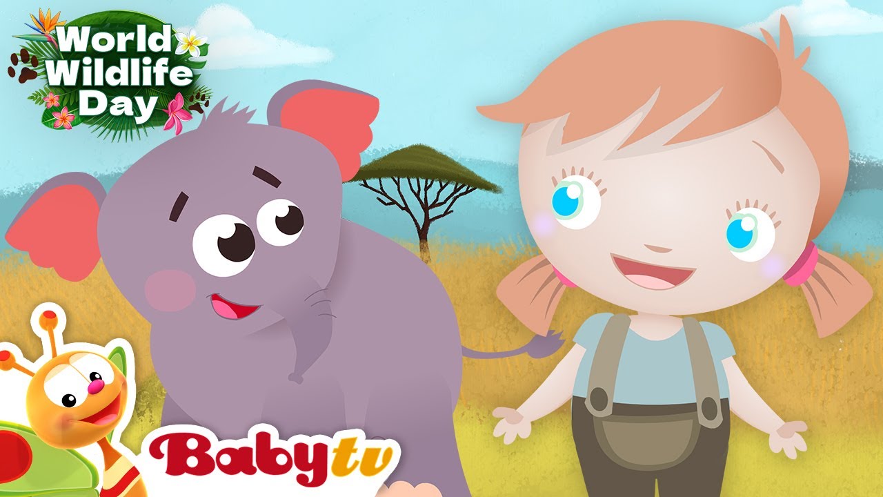 Wilde dieren voor kinderen 🐘 🐒 |Olifanten, jachtluipaarden en apen | Volledige afleveringen@BabyTVNL